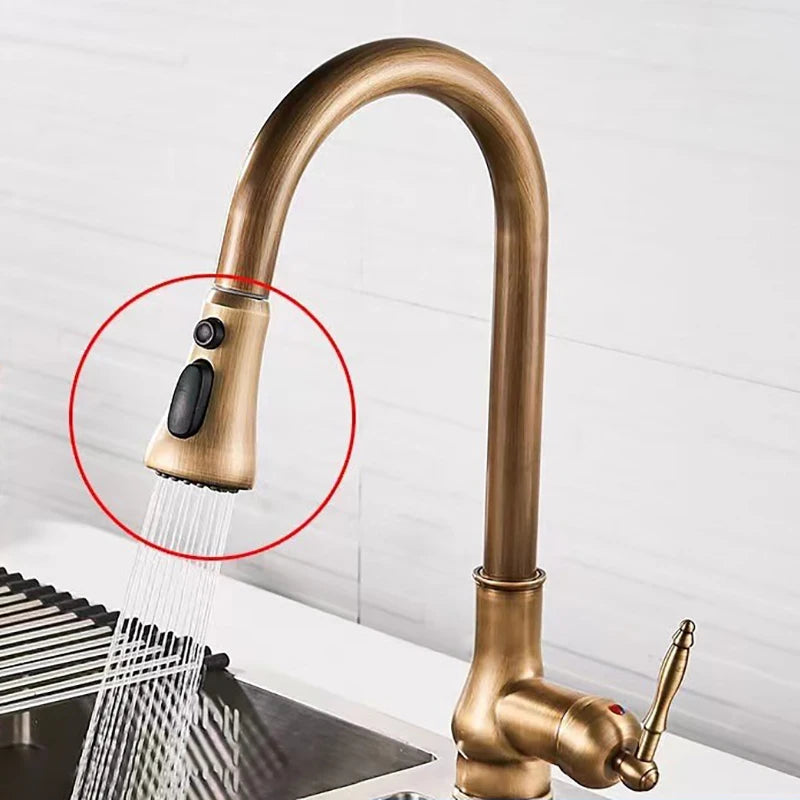 Antique Pull Out Spray Single Handle