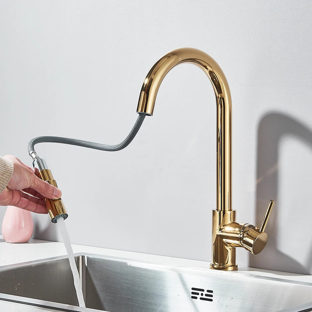Pull Out 2-Ways Stream Sprayer
