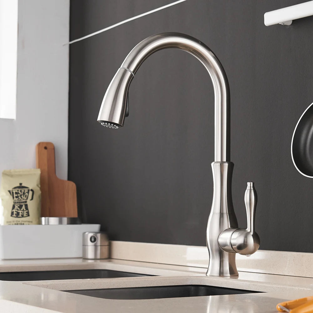 Black Silver Single Handle Pull Out Tap