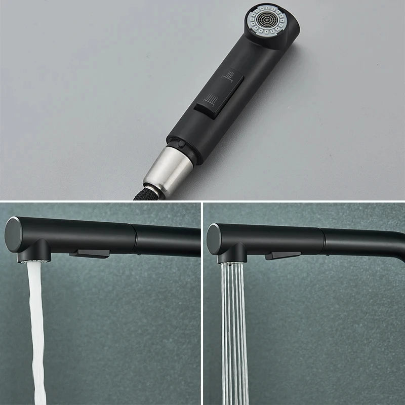 Black 360° Rotation Stream Sprayer Stainless