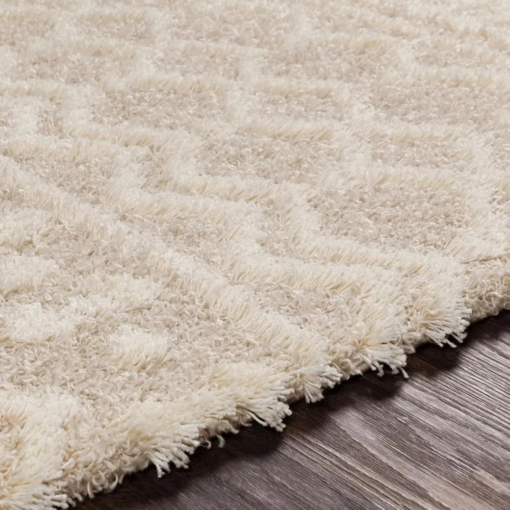 6'7"x9'6" Moroccan Shag Beige