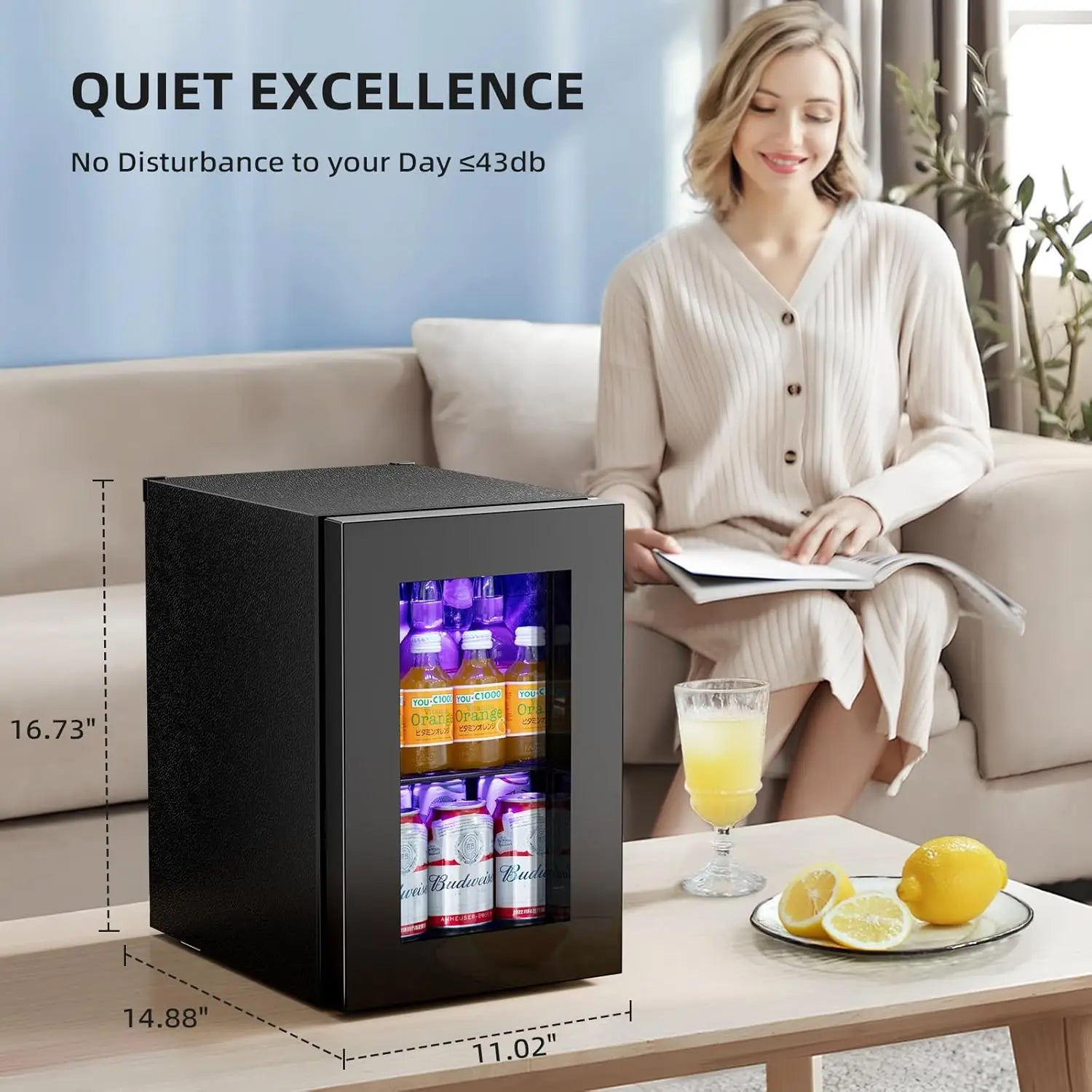 24 Can Beverage Refrigerator Quiet