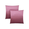 2 Pillows 18 X 18 Square