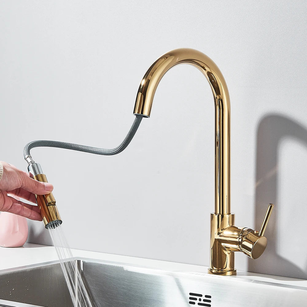 Pull Out 2-Ways Stream Sprayer