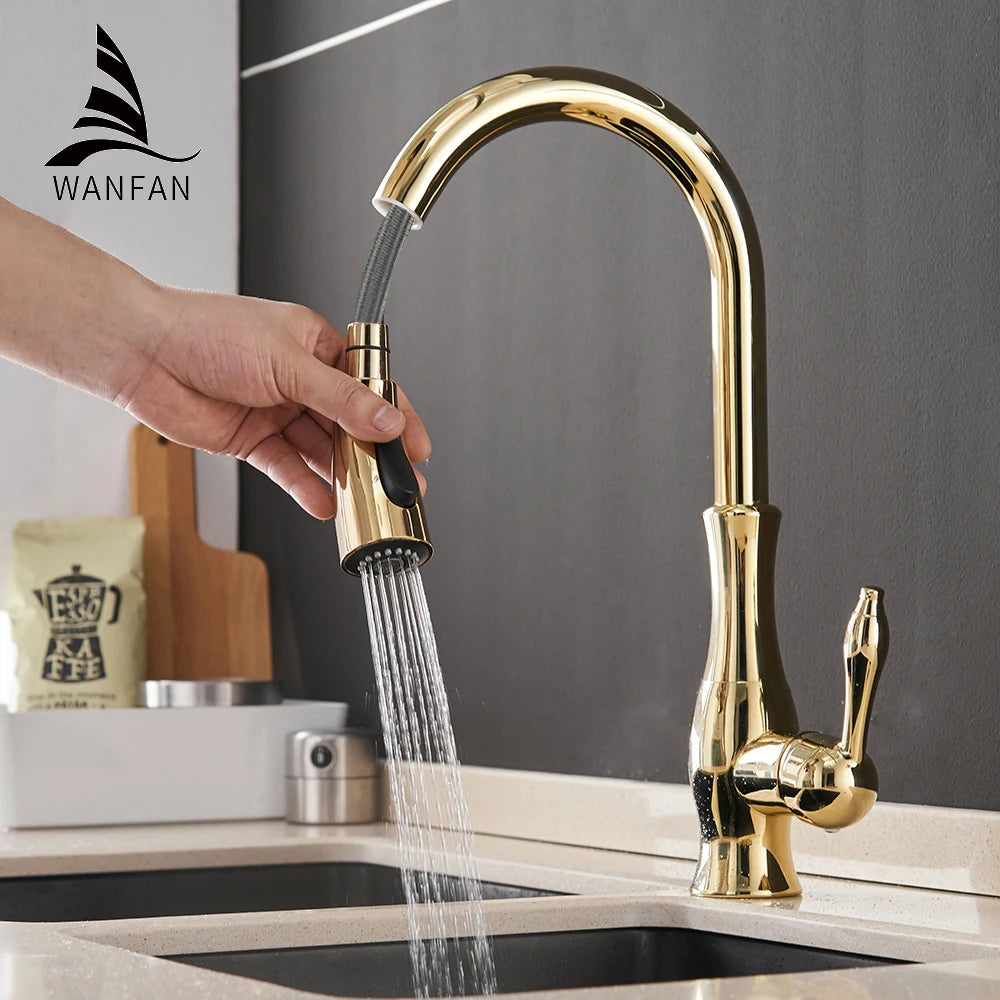 Black Silver Single Handle Pull Out Tap
