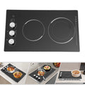 2 Burners Electric Microcrystalline Panel Cooktop,110V