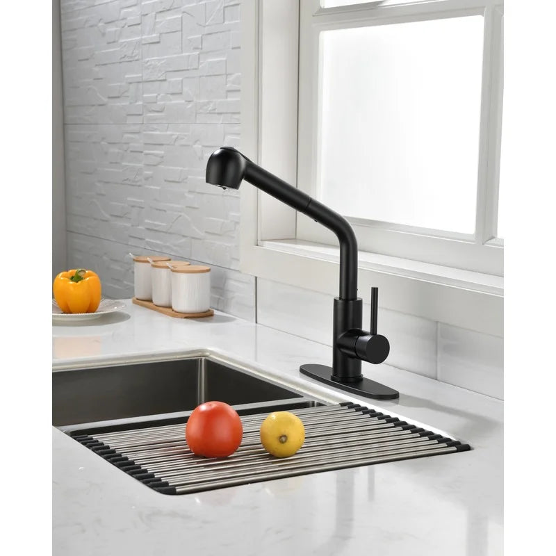 Matte Black Single Handle Faucet