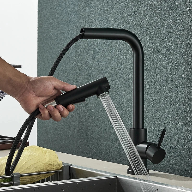 Black 360° Rotation Stream Sprayer Stainless