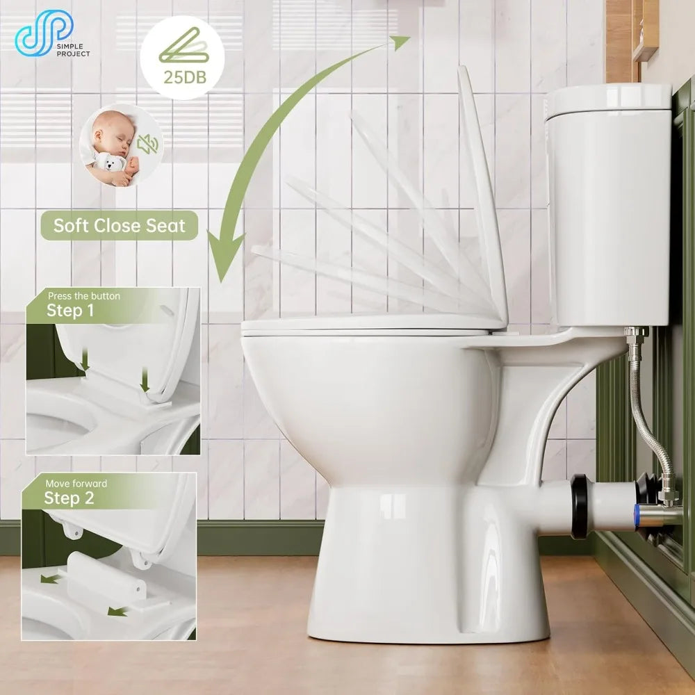 Toilet Project Rear Discharge