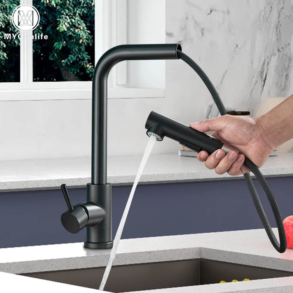 Black Pull Out Two Stream Sprayer Stainless
