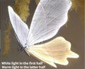 Butterfly Floor Light LED