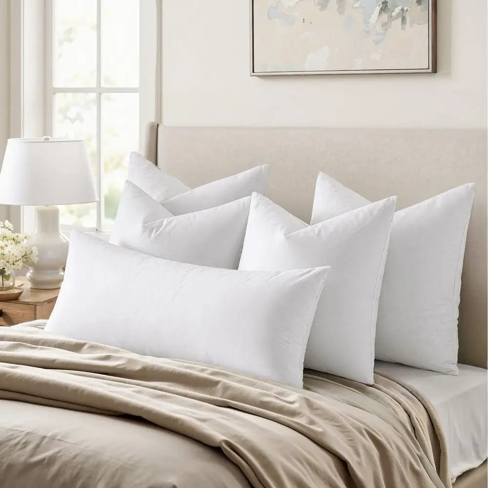 2 26x26 Euro Pillow Insert Down