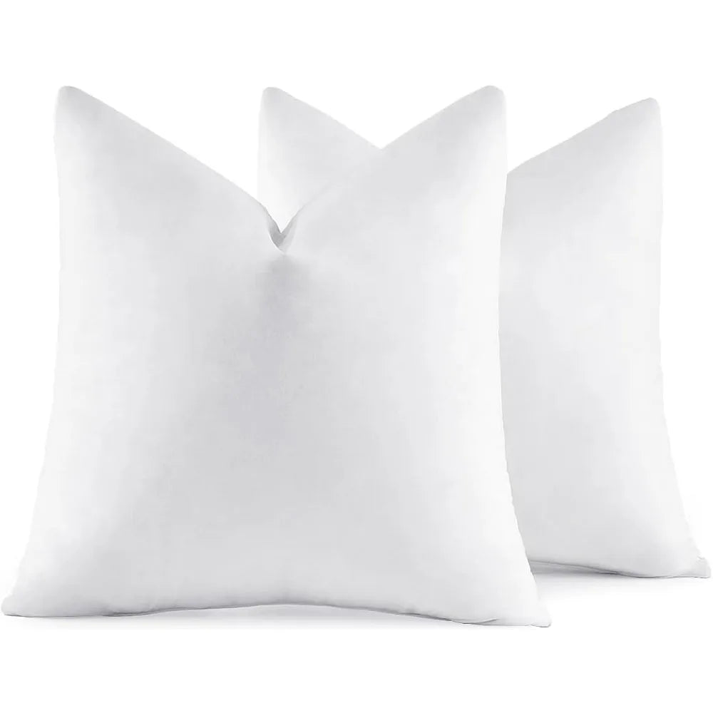 2 Down Feather Throw Pillows