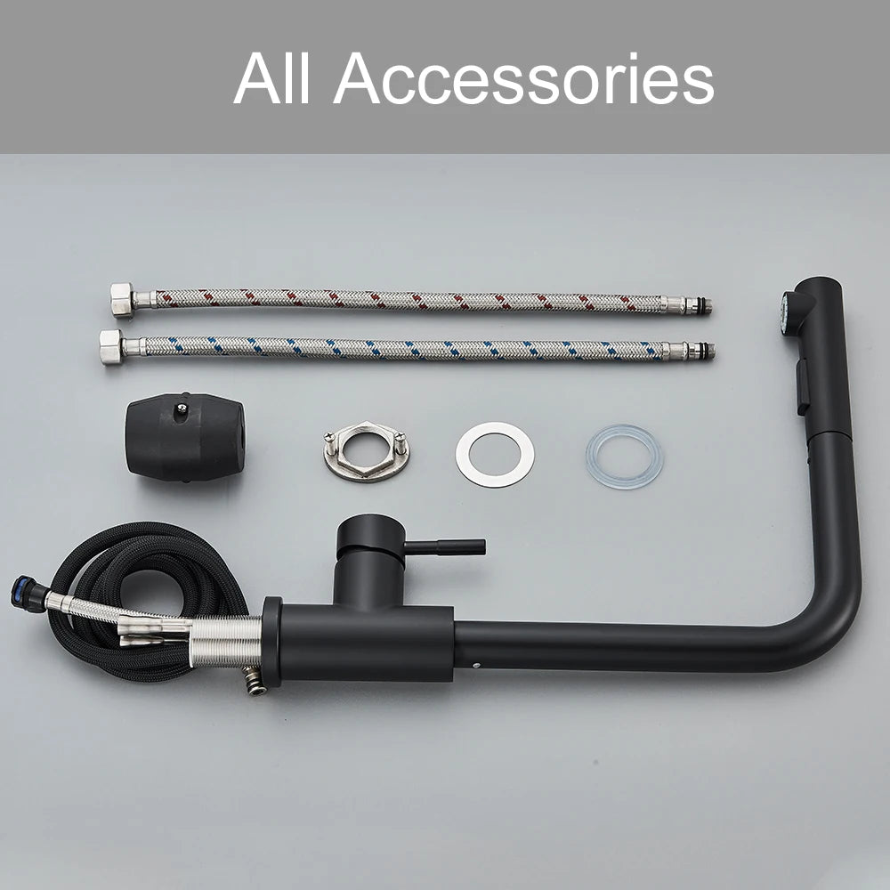 Black Pull Out Two Stream Sprayer Stainless