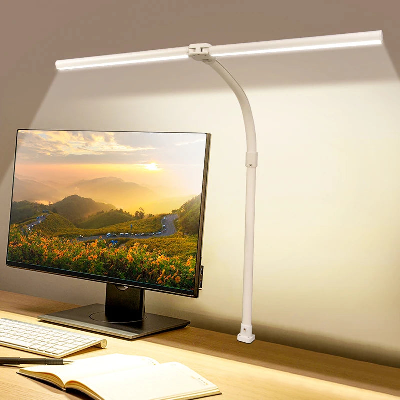Double Head LED desk Lamp