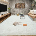 6x9 Fluffy Modern Shag