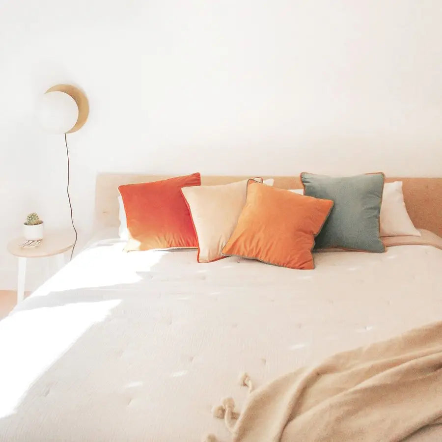 4   Pillow Covers Velvet