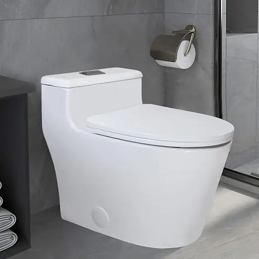 Toilet Elongated One Piece Dual Flush