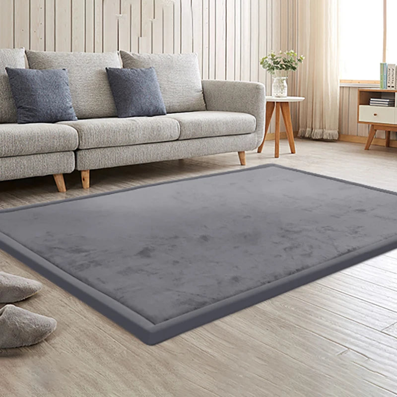 Large Velvet Solid Carpet