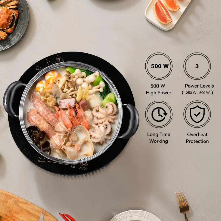 500W 120V Small Induction Cooktop 7.7 Mini