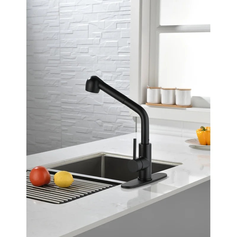 Matte Black Single Handle Faucet