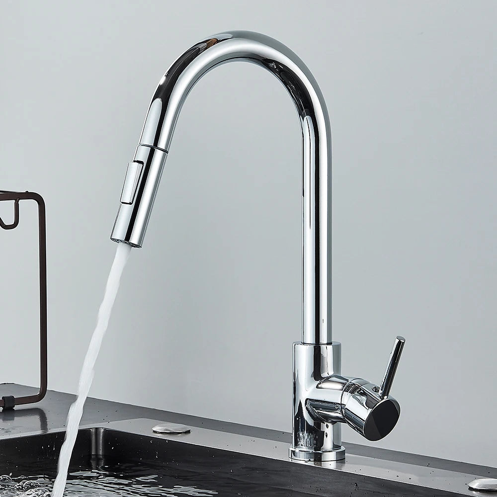 Pull Out 2-Ways Stream Sprayer